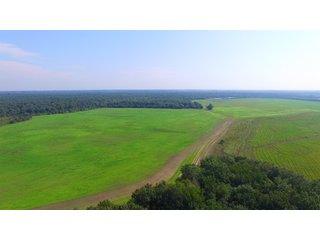 Farmland in Pulaski County, Arkansas - ABSOLUTE ARKANSAS REAL ESTATE AUCTION - 1,200+/- ACRES OFFERED IN 6 TRACTS IN PULASKI COUNTY, ARKANSAS